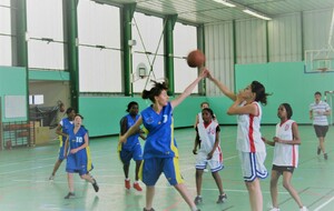 69eb63fe6947f_BASKETIMG1199.JPG
